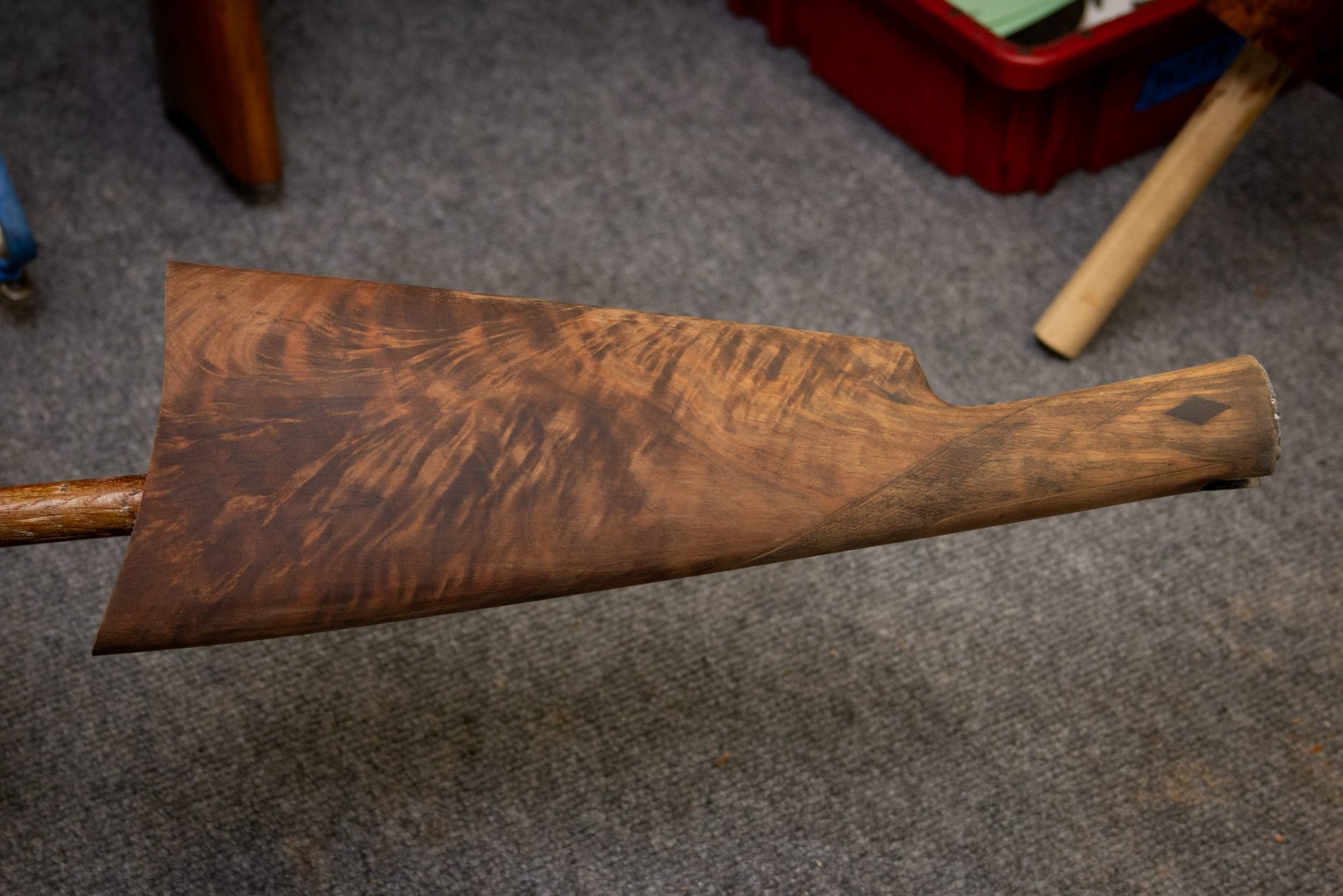 Photo of a restored Winchester Model 1897 shotgun, during restoration work by Turnbull Restoration of Bloomfield NY