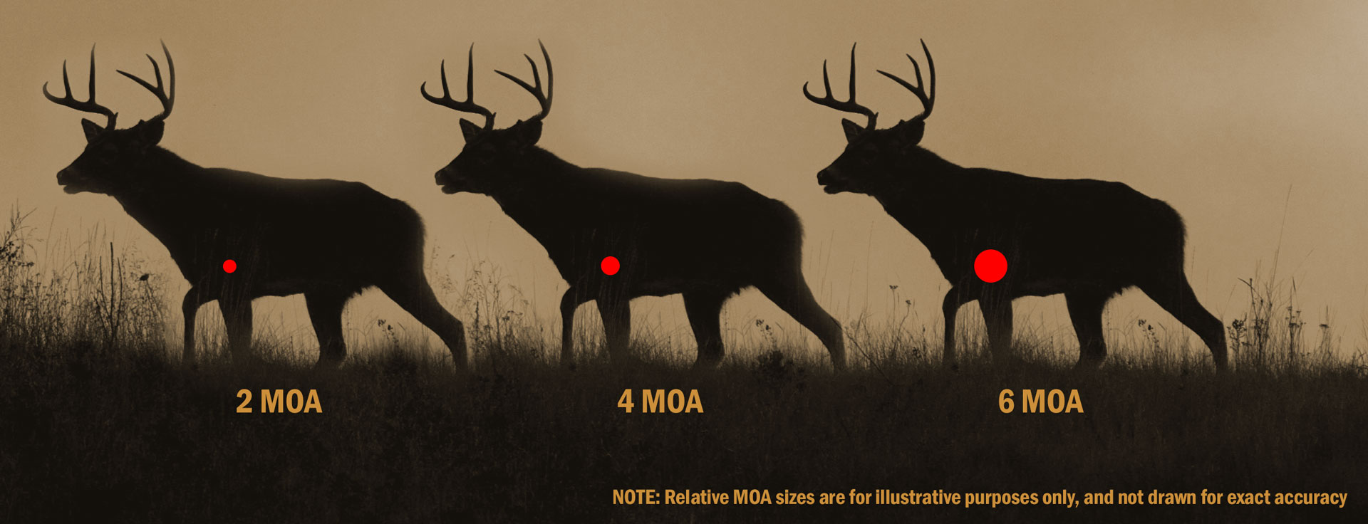 An illustration of MOA sizes for red dot sights