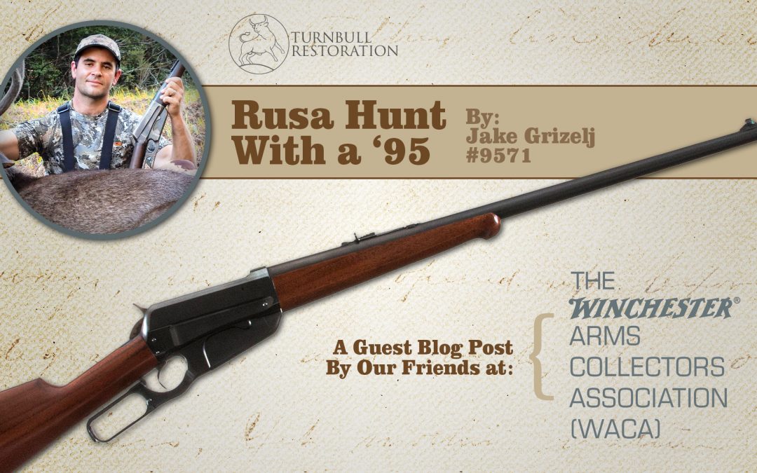Hunting with a Winchester 1895 – A Winchester Arms Collectors Association Guest Post
