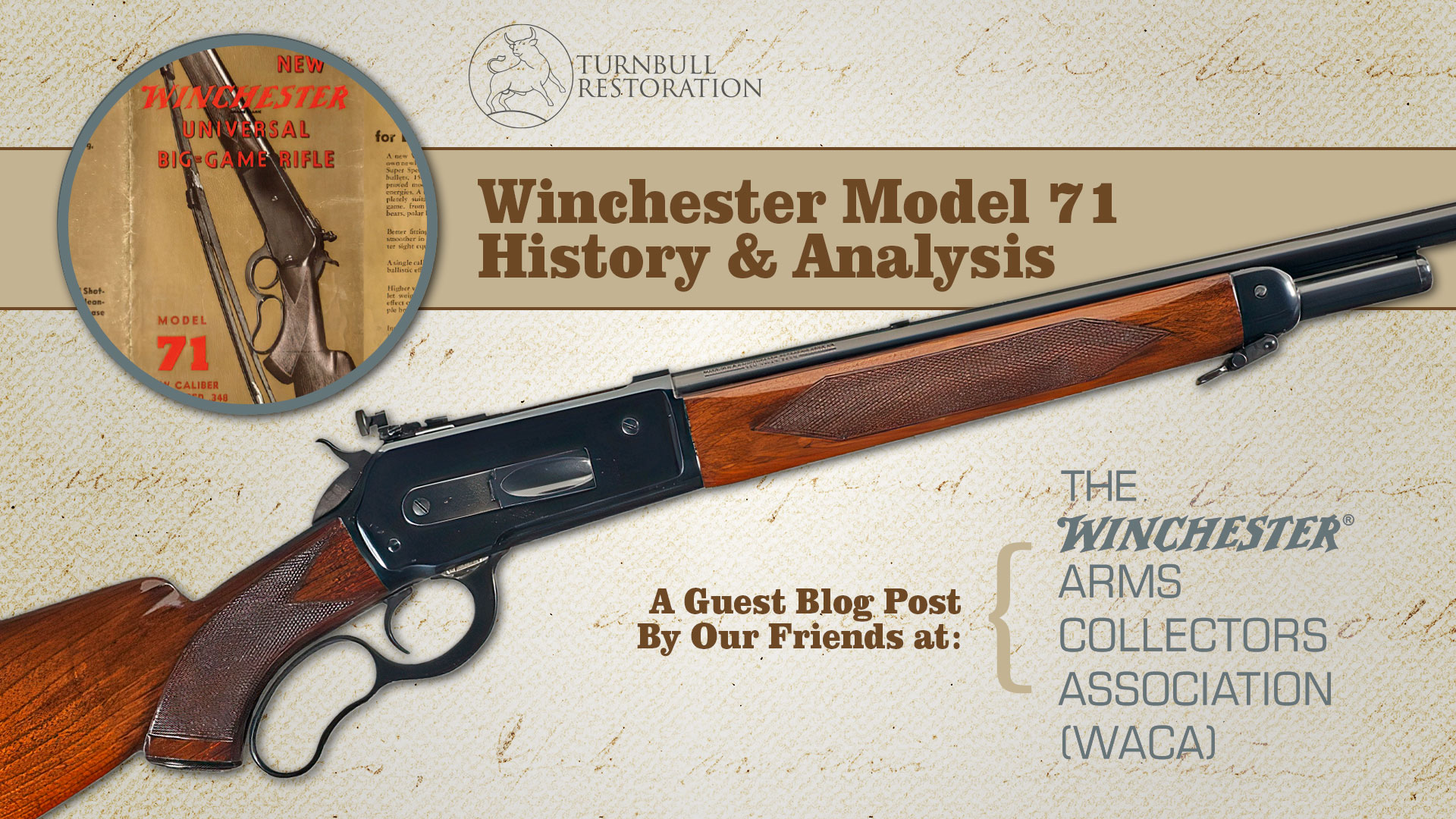 Winchester Model 71 - Turnbull Restoration