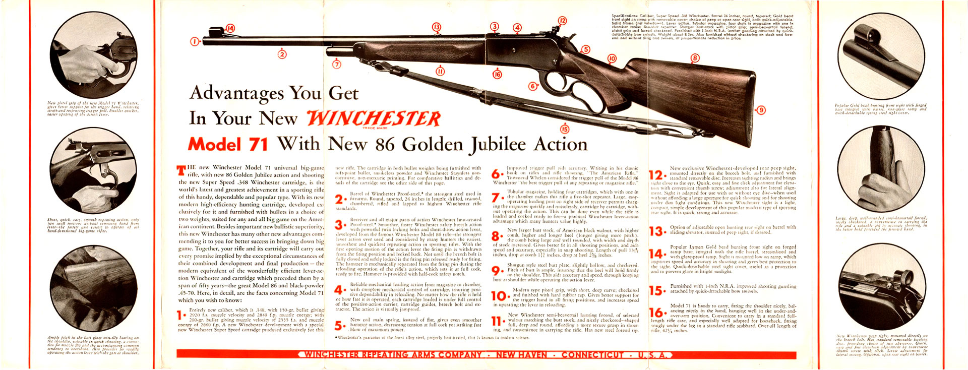 Winchester Model 71 brochure